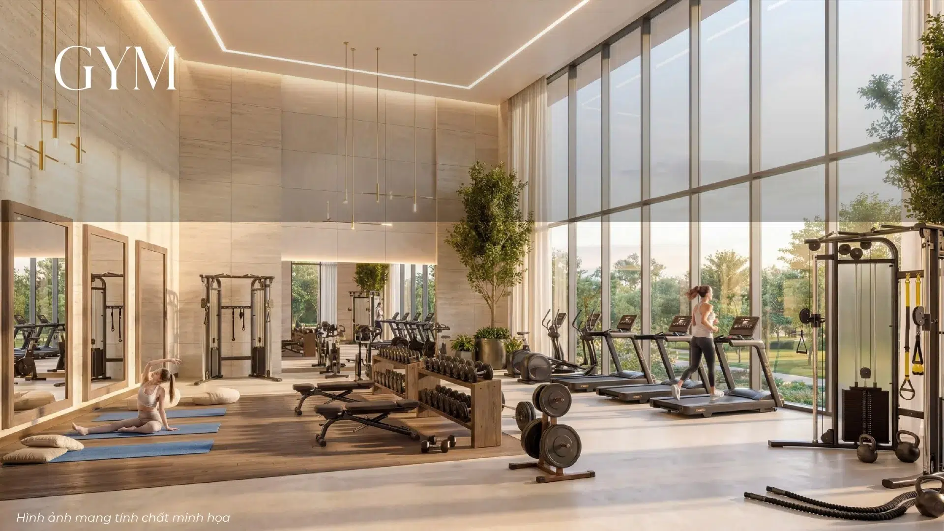 Tien ich gym d diamant bleu